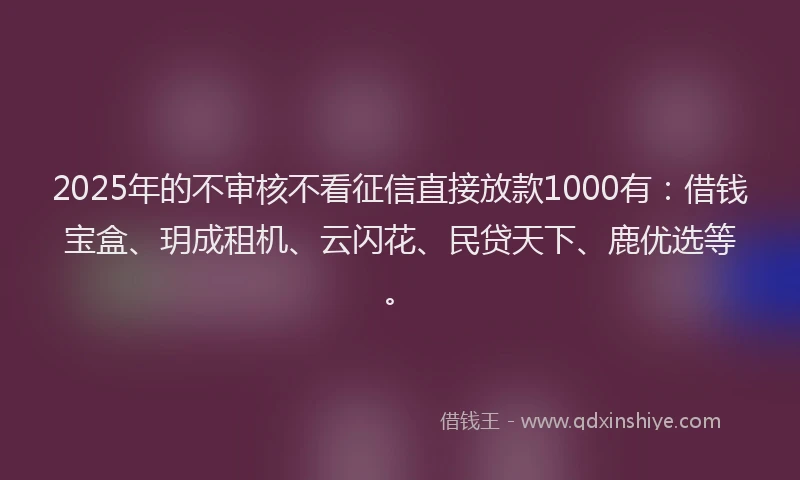 2025年的不审核不看征信直接放款1000有：借钱宝盒、玥成租机、云闪花、民贷天下、鹿优选等。