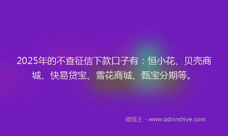 2025年的不查征信下款口子有：恒小花、贝壳商城、快易贷宝、雪花商城、甄宝分期等。