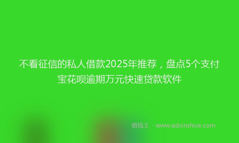 不看征信的私人借款2025年推荐，盘点5个支付宝花呗逾期万元快速贷款软件