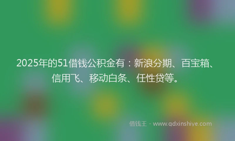 2025年的51借钱公积金有：新浪分期、百宝箱、信用飞、移动白条、任性贷等。