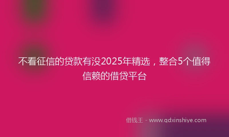 不看征信的贷款有没2025年精选，整合5个值得信赖的借贷平台