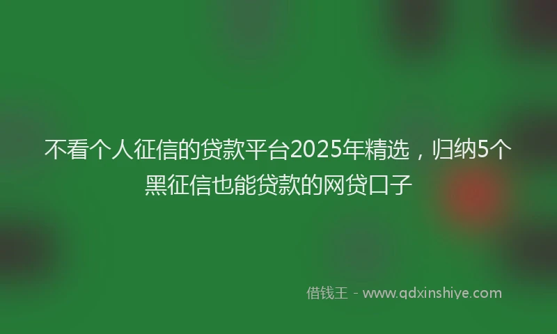 不看个人征信的贷款平台2025年精选，归纳5个黑征信也能贷款的网贷口子