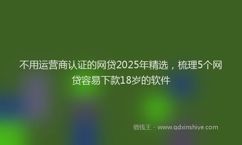 不用运营商认证的网贷2025年精选，梳理5个网贷容易下款18岁的软件
