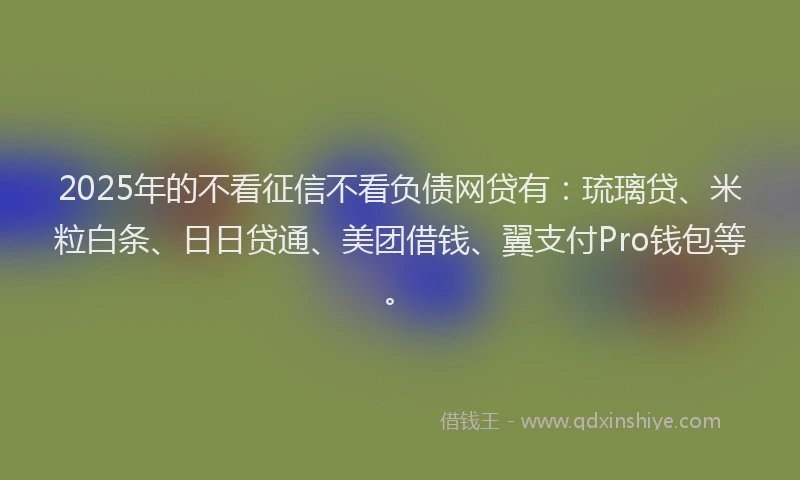 2025年的不看征信不看负债网贷有：琉璃贷、米粒白条、日日贷通、美团借钱、翼支付Pro钱包等。