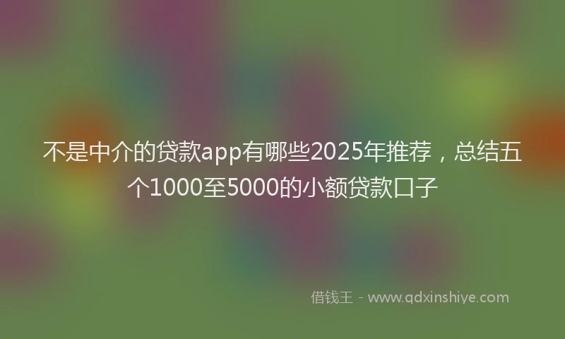 不是中介的贷款app有哪些2025年推荐，总结五个1000至5000的小额贷款口子