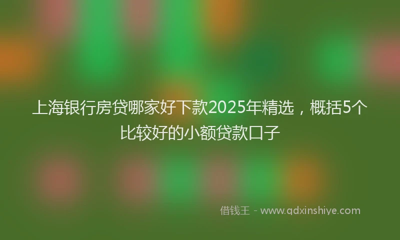 上海银行房贷哪家好下款2025年精选，概括5个比较好的小额贷款口子