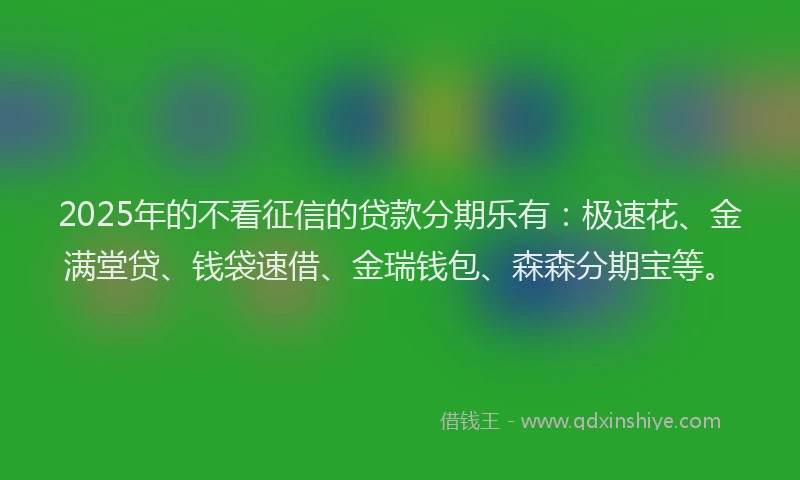 2025年的不看征信的贷款分期乐有：极速花、金满堂贷、钱袋速借、金瑞钱包、森森分期宝等。