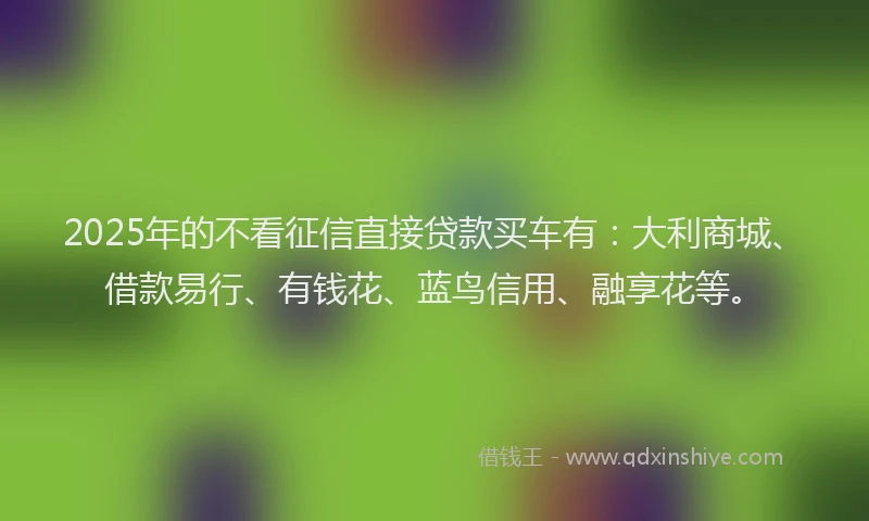2025年的不看征信直接贷款买车有：大利商城、借款易行、有钱花、蓝鸟信用、融享花等。