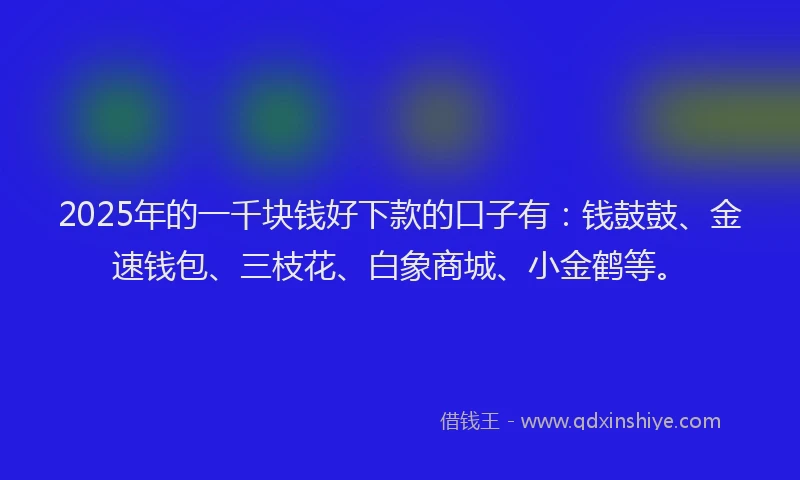 2025年的一千块钱好下款的口子有：钱鼓鼓、金速钱包、三枝花、白象商城、小金鹤等。