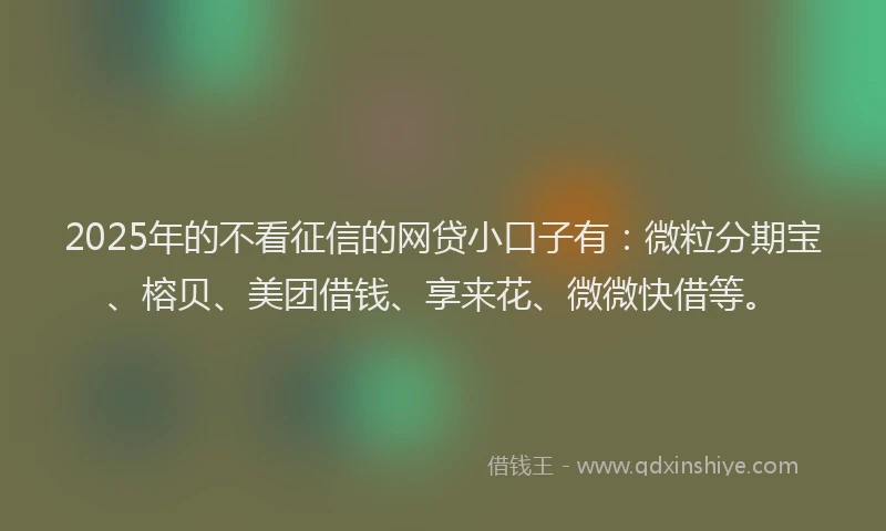 2025年的不看征信的网贷小口子有：微粒分期宝、榕贝、美团借钱、享来花、微微快借等。