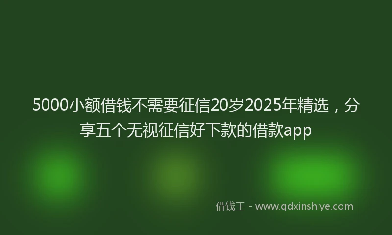5000小额借钱不需要征信20岁2025年精选，分享五个无视征信好下款的借款app