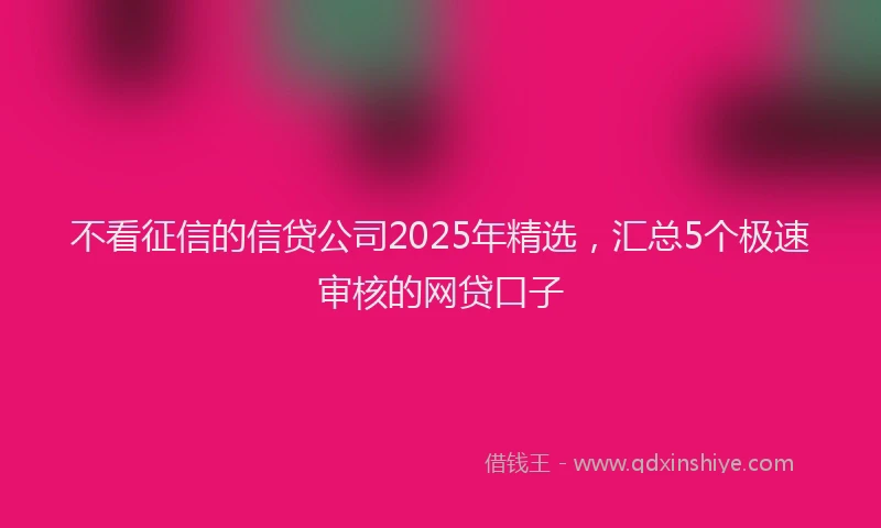 不看征信的信贷公司2025年精选，汇总5个极速审核的网贷口子