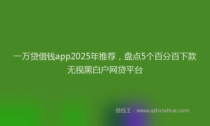 一万贷借钱app2025年推荐，盘点5个百分百下款无视黑白户网贷平台
