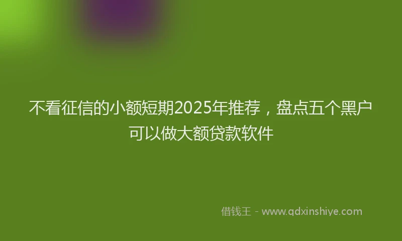 不看征信的小额短期2025年推荐，盘点五个黑户可以做大额贷款软件