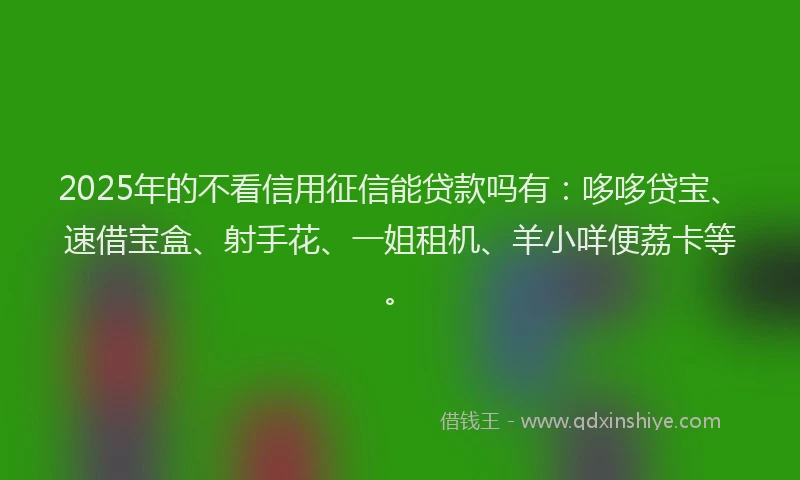 2025年的不看信用征信能贷款吗有：哆哆贷宝、速借宝盒、射手花、一姐租机、羊小咩便荔卡等。