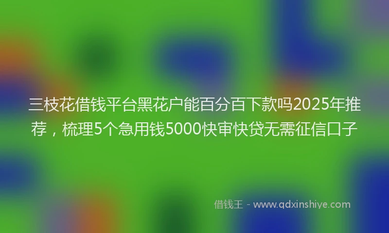 三枝花借钱平台黑花户能百分百下款吗2025年推荐，梳理5个急用钱5000快审快贷无需征信口子