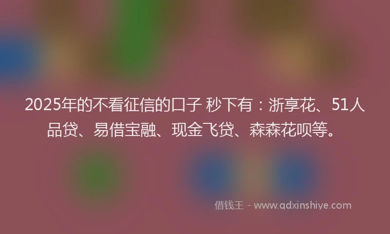 2025年的不看征信的口子 秒下有：浙享花、51人品贷、易借宝融、现金飞贷、森森花呗等。