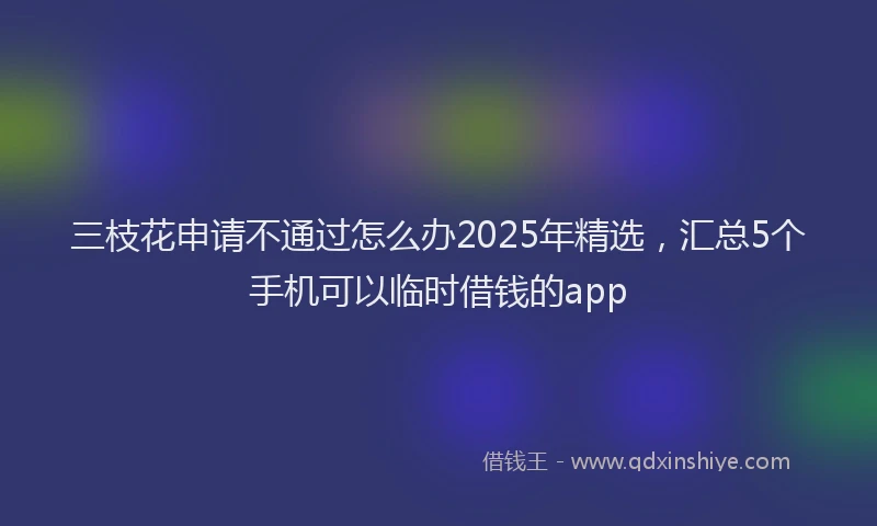 三枝花申请不通过怎么办2025年精选，汇总5个手机可以临时借钱的app