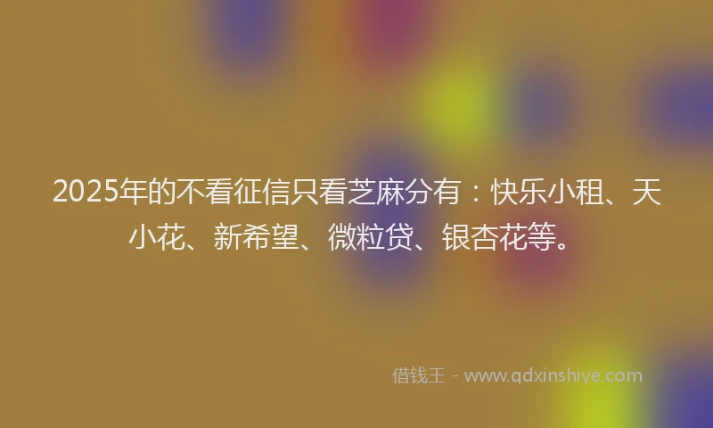 2025年的不看征信只看芝麻分有：快乐小租、天小花、新希望、微粒贷、银杏花等。