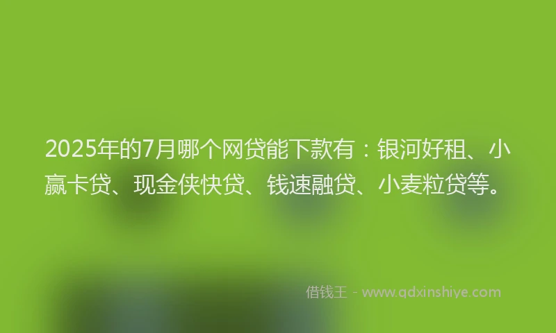 2025年的7月哪个网贷能下款有：银河好租、小赢卡贷、现金侠快贷、钱速融贷、小麦粒贷等。
