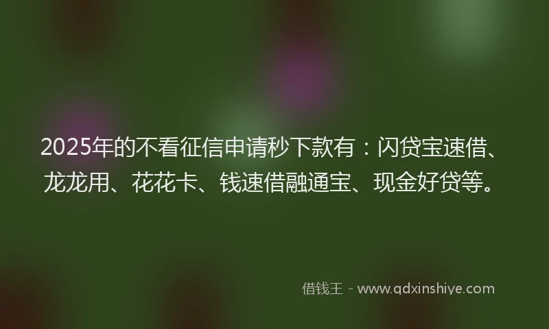 2025年的不看征信申请秒下款有：闪贷宝速借、龙龙用、花花卡、钱速借融通宝、现金好贷等。