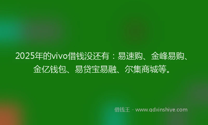 2025年的vivo借钱没还有：易速购、金峰易购、金亿钱包、易贷宝易融、尔集商城等。
