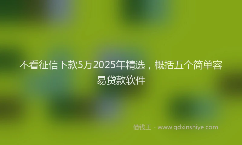 不看征信下款5万2025年精选，概括五个简单容易贷款软件