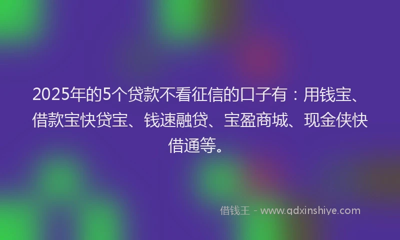 2025年的5个贷款不看征信的口子有：用钱宝、借款宝快贷宝、钱速融贷、宝盈商城、现金侠快借通等。