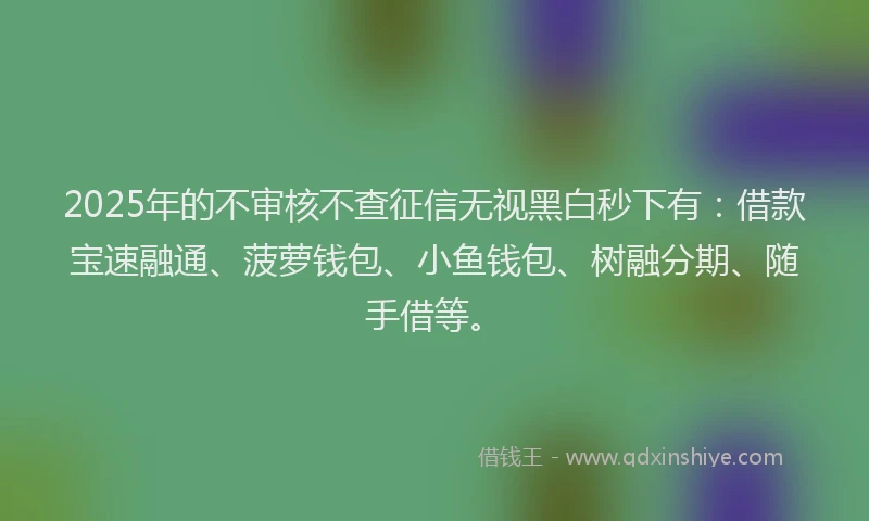 2025年的不审核不查征信无视黑白秒下有：借款宝速融通、菠萝钱包、小鱼钱包、树融分期、随手借等。