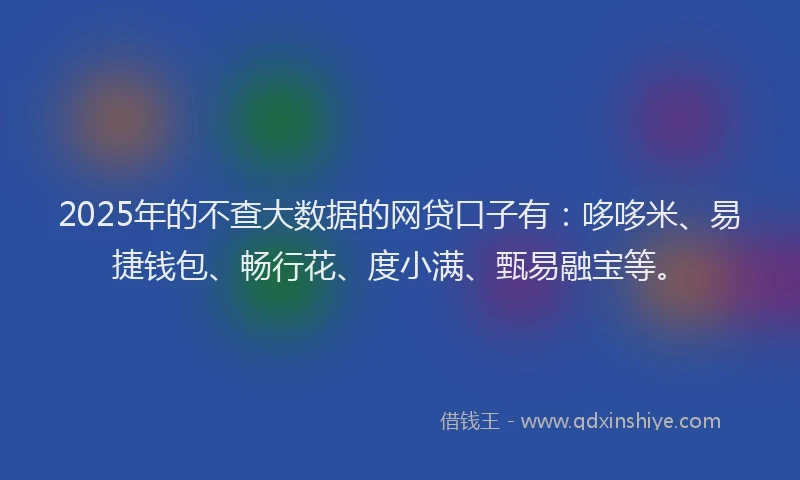 2025年的不查大数据的网贷口子有：哆哆米、易捷钱包、畅行花、度小满、甄易融宝等。
