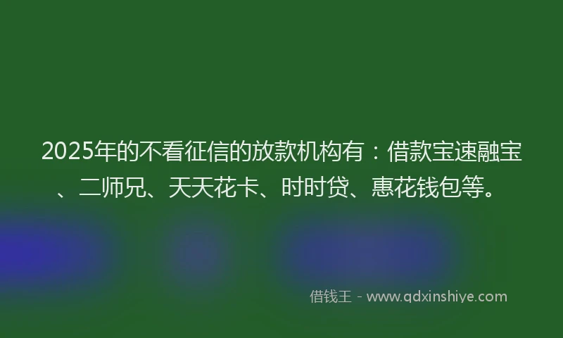 2025年的不看征信的放款机构有：借款宝速融宝、二师兄、天天花卡、时时贷、惠花钱包等。