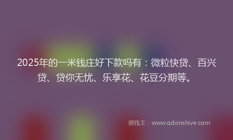 2025年的一米钱庄好下款吗有：微粒快贷、百兴贷、贷你无忧、乐享花、花豆分期等。