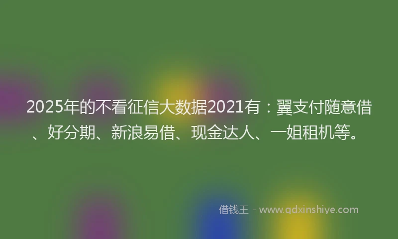 2025年的不看征信大数据2021有：翼支付随意借、好分期、新浪易借、现金达人、一姐租机等。