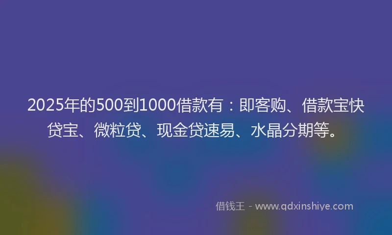 2025年的500到1000借款有：即客购、借款宝快贷宝、微粒贷、现金贷速易、水晶分期等。