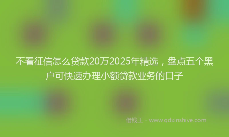 不看征信怎么贷款20万2025年精选，盘点五个黑户可快速办理小额贷款业务的口子