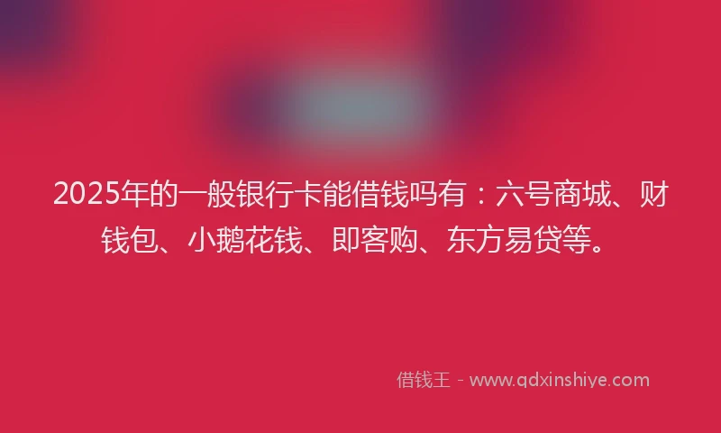 2025年的一般银行卡能借钱吗有：六号商城、财钱包、小鹅花钱、即客购、东方易贷等。