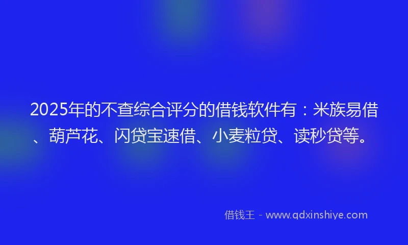 2025年的不查综合评分的借钱软件有：米族易借、葫芦花、闪贷宝速借、小麦粒贷、读秒贷等。