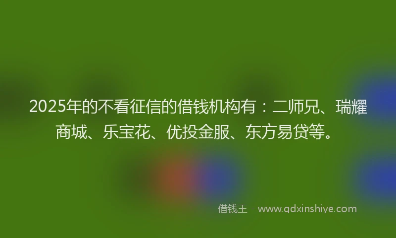 2025年的不看征信的借钱机构有：二师兄、瑞耀商城、乐宝花、优投金服、东方易贷等。