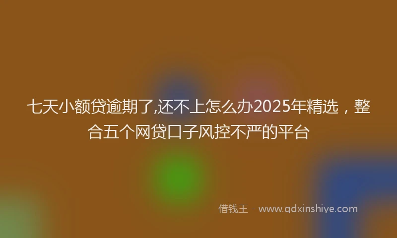 七天小额贷逾期了,还不上怎么办2025年精选，整合五个网贷口子风控不严的平台