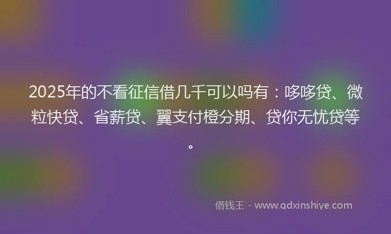 2025年的不看征信借几千可以吗有：哆哆贷、微粒快贷、省薪贷、翼支付橙分期、贷你无忧贷等。
