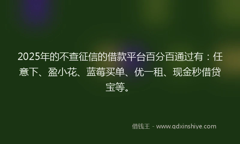 2025年的不查征信的借款平台百分百通过有：任意下、盈小花、蓝莓买单、优一租、现金秒借贷宝等。