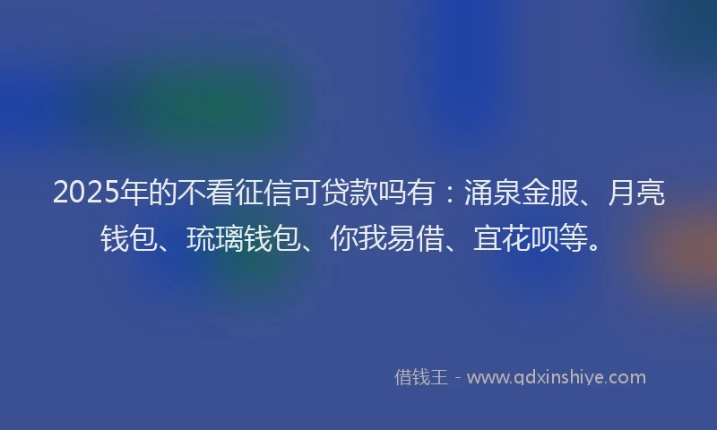 2025年的不看征信可贷款吗有：涌泉金服、月亮钱包、琉璃钱包、你我易借、宜花呗等。