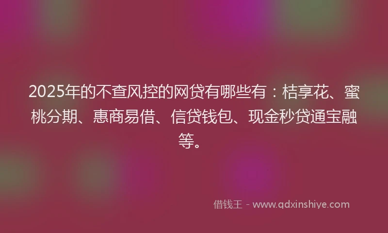 2025年的不查风控的网贷有哪些有：桔享花、蜜桃分期、惠商易借、信贷钱包、现金秒贷通宝融等。