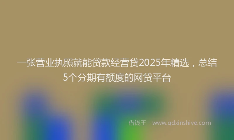一张营业执照就能贷款经营贷2025年精选，总结5个分期有额度的网贷平台