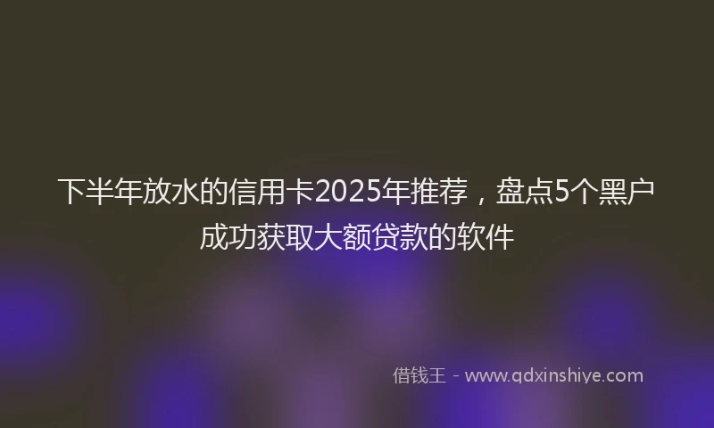 下半年放水的信用卡2025年推荐，盘点5个黑户成功获取大额贷款的软件