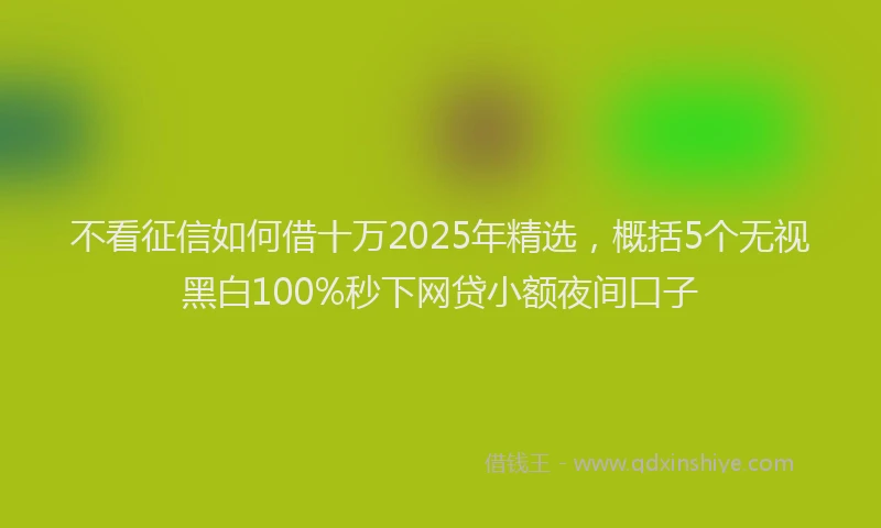 不看征信如何借十万2025年精选，概括5个无视黑白100%秒下网贷小额夜间口子