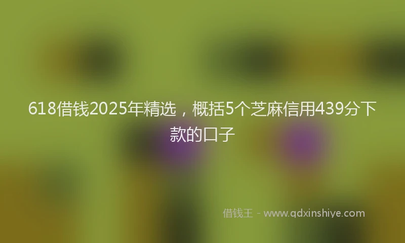 618借钱2025年精选，概括5个芝麻信用439分下款的口子
