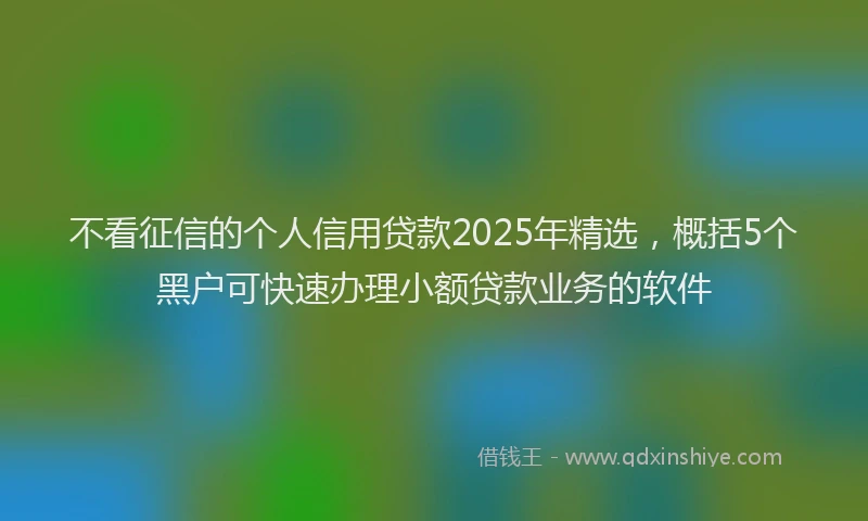 不看征信的个人信用贷款2025年精选，概括5个黑户可快速办理小额贷款业务的软件