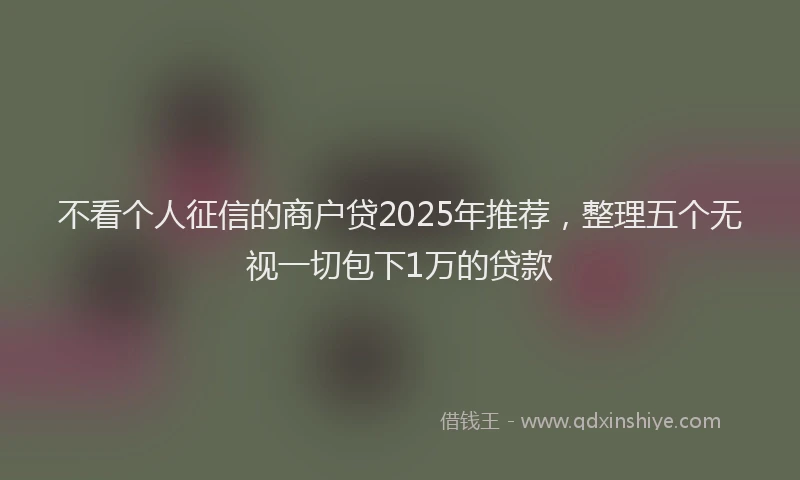 不看个人征信的商户贷2025年推荐，整理五个无视一切包下1万的贷款