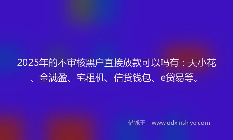 2025年的不审核黑户直接放款可以吗有：天小花、金满盈、宅租机、信贷钱包、e贷易等。